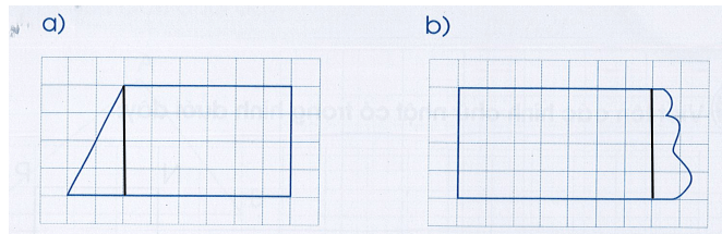 Vở bài tập Toán lớp 3 Cánh diều trang 101, 102 Bài 51: Hình chữ nhật