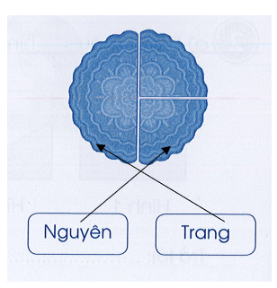 Vở bài tập Toán lớp 3 Cánh diều trang 55, 56 Bài 26: Một phần hai, một phần tư