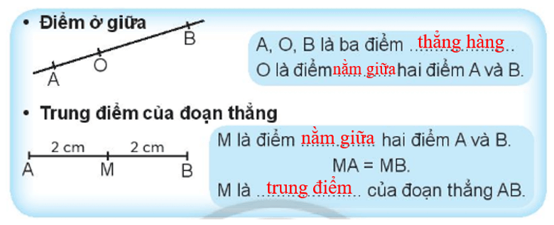 Vở bài tập Toán lớp 3 trang 79, 80 Điểm ở giữa. Trung điểm của đoạn thẳng | Chân trời sáng tạo