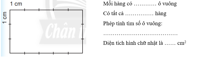 Vở bài tập Toán lớp 3 Tập 2 trang 76, 77 Diện tích hình chữ nhật - Chân trời sáng tạo