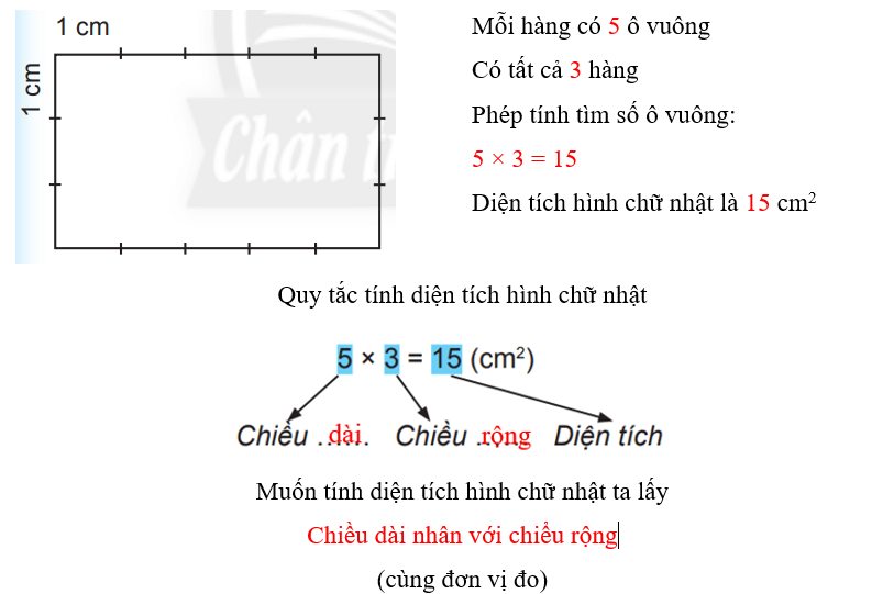 Vở bài tập Toán lớp 3 Tập 2 trang 76, 77 Diện tích hình chữ nhật - Chân trời sáng tạo