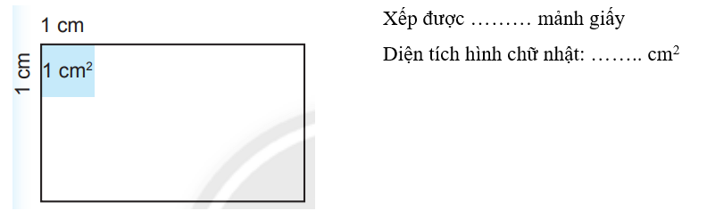 Vở bài tập Toán lớp 3 Tập 2 trang 76, 77 Diện tích hình chữ nhật - Chân trời sáng tạo