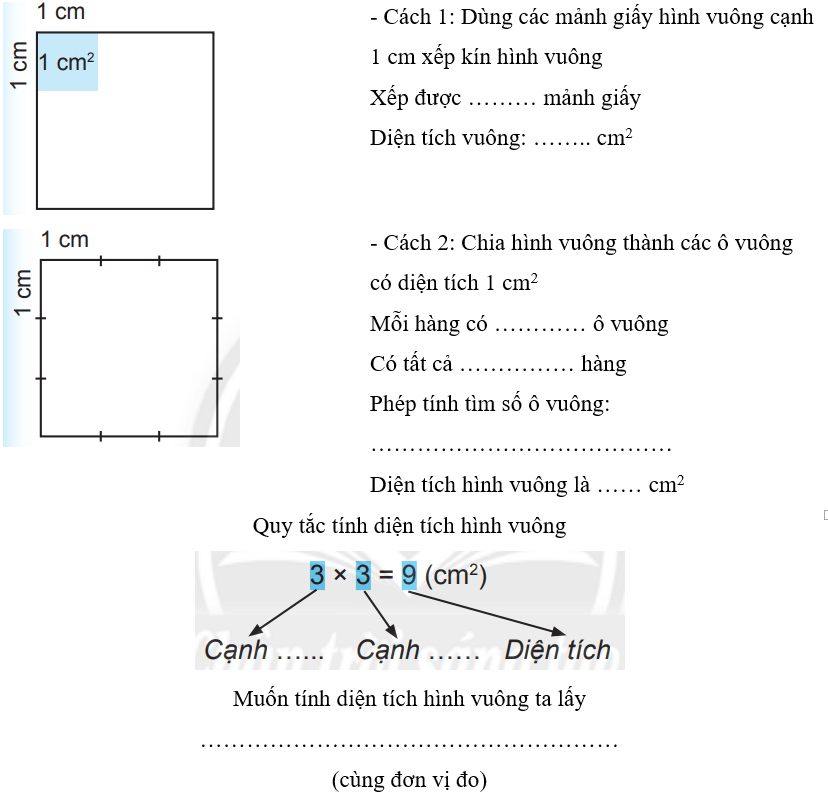 Các bài tập vận dụng