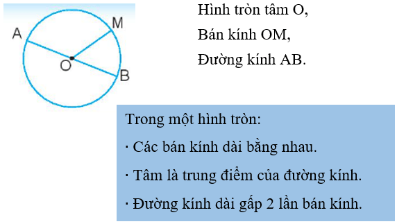 Vở bài tập Toán lớp 3 trang 81, 82 Hình tròn | Chân trời sáng tạo