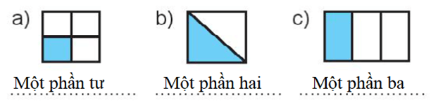 Vở bài tập Toán lớp 3 trang 48, 49 Một phần hai, một phần ba, một phần tư, một phần năm | Chân trời sáng tạo