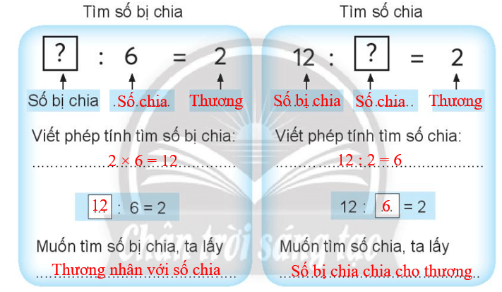 Vở bài tập Toán lớp 3 trang 19 Tìm số bị chia, tìm số chia - Chân trời sáng tạo