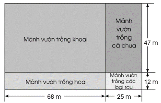 Vở bài tập Toán lớp 4 Cánh diều Bài 70: Luyện tập chung