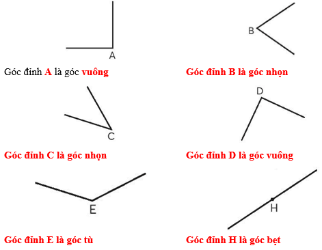 Vở bài tập Toán lớp 4 Chân trời sáng tạo Bài 30: Đo góc - Góc nhọn, góc tù, góc bẹt