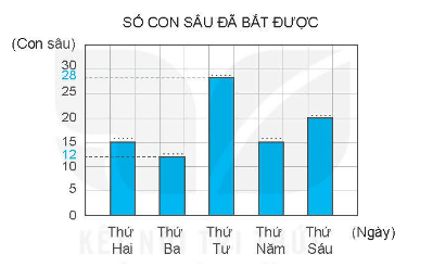 Vở bài tập Toán lớp 4 Kết nối tri thức Bài 50: Biểu đồ cột