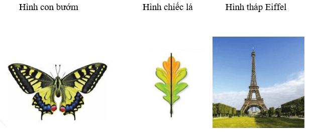 Tìm một số hình có trục đối xứng trong thực tiễn có thể tham khảo hình dưới