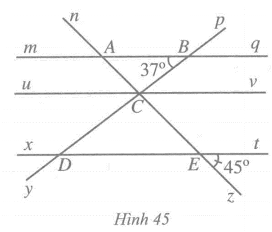 Quan sát Hình 44, có mq // xt