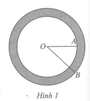 Tính diện tích phần được tô đậm ở Hình 1 biết đường tròn nhỏ có bán kính là OA = 3 cm