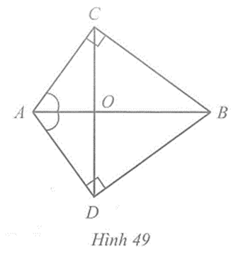 Trong hình 49 có góc ACB = góc ADB = 90 độ, góc BAC = góc BAD