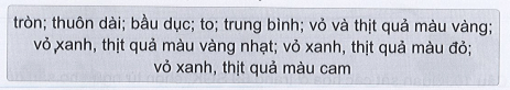 Vở bài tập Tự nhiên xã hội lớp 3 trang 38, 39, 40, 41, 42 Bài 12: Các bộ phận của thực vật và chức năng của chúng | Cánh diều