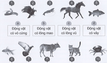 Vở bài tập Tự nhiên xã hội lớp 3 trang 43, 44, 45 Bài 13: Các bộ phận của động vật và chức năng của chúng | Cánh diều