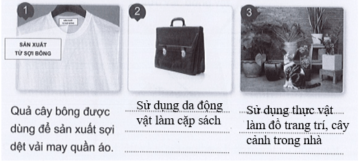 Vở bài tập Tự nhiên xã hội lớp 3 trang 46, 47, 48 49 Bài 14: Sử dụng hợp lí thực vật và động vật | Cánh diều