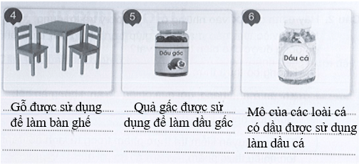 Vở bài tập Tự nhiên xã hội lớp 3 trang 46, 47, 48 49 Bài 14: Sử dụng hợp lí thực vật và động vật | Cánh diều