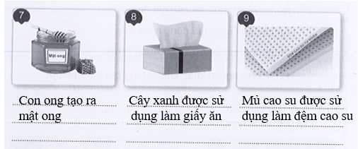 Vở bài tập Tự nhiên xã hội lớp 3 trang 46, 47, 48 49 Bài 14: Sử dụng hợp lí thực vật và động vật | Cánh diều