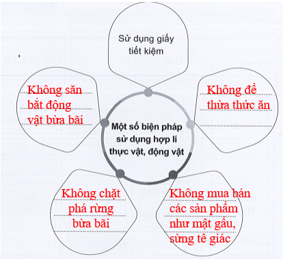 Vở bài tập Tự nhiên xã hội lớp 3 trang 46, 47, 48 49 Bài 14: Sử dụng hợp lí thực vật và động vật | Cánh diều