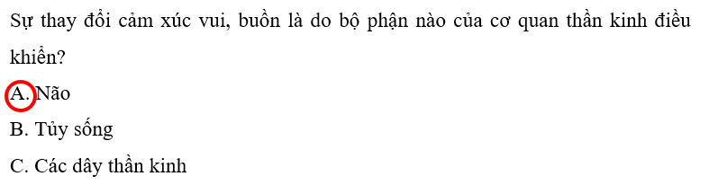 Vở bài tập Tự nhiên xã hội lớp 3 trang 57, 58, 59 , 60 Bài 17: Cơ quan thần kinh | Cánh diều