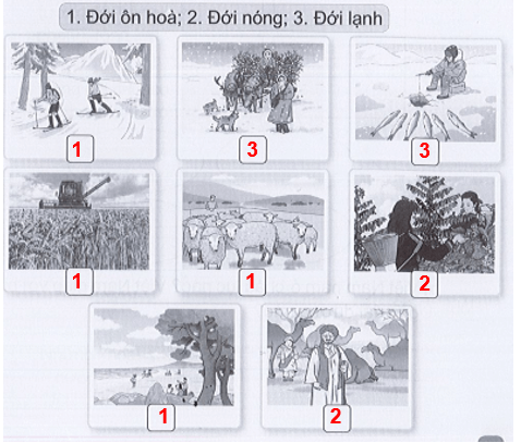 Vở bài tập Tự nhiên xã hội lớp 3 trang 68, 69 Bài 21: Hình dạng Trái Đất. Các đới khí hậu | Cánh diều