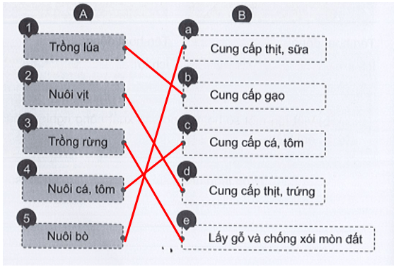 Vở bài tập Tự nhiên xã hội lớp 3 trang 26, 27, 28, 29 Bài 9: Hoạt động sản xuất nông nghiệp | Cánh diều