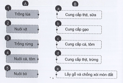 Vở bài tập Tự nhiên xã hội lớp 3 trang 26, 27, 28, 29 Bài 9: Hoạt động sản xuất nông nghiệp | Cánh diều