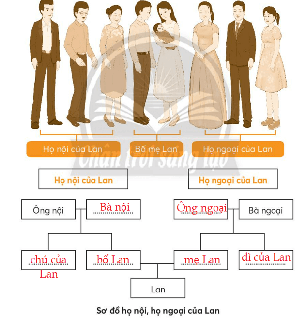 Vở bài tập Tự nhiên xã hội lớp 3 trang 5, 6, 7 Bài 1: Họ nội, họ ngoại | Chân trời sáng tạo