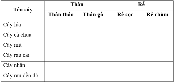 Vở bài tập Tự nhiên xã hội lớp 3 trang 43, 44, 45 Bài 15: Lá, thân, rễ của thực vật | Chân trời sáng tạo