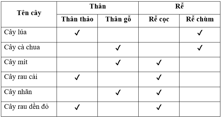 Vở bài tập Tự nhiên xã hội lớp 3 trang 43, 44, 45 Bài 15: Lá, thân, rễ của thực vật | Chân trời sáng tạo