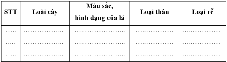 Vở bài tập Tự nhiên xã hội lớp 3 trang 43, 44, 45 Bài 15: Lá, thân, rễ của thực vật | Chân trời sáng tạo