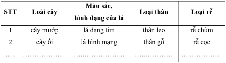 Vở bài tập Tự nhiên xã hội lớp 3 trang 43, 44, 45 Bài 15: Lá, thân, rễ của thực vật | Chân trời sáng tạo