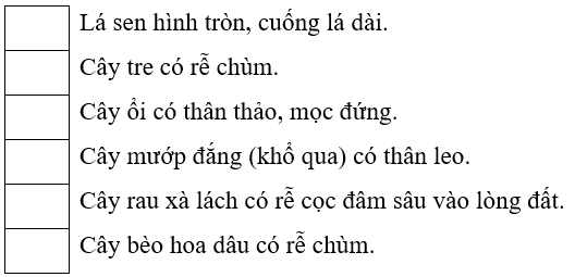 Vở bài tập Tự nhiên xã hội lớp 3 trang 43, 44, 45 Bài 15: Lá, thân, rễ của thực vật | Chân trời sáng tạo