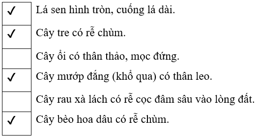 Vở bài tập Tự nhiên xã hội lớp 3 trang 43, 44, 45 Bài 15: Lá, thân, rễ của thực vật | Chân trời sáng tạo