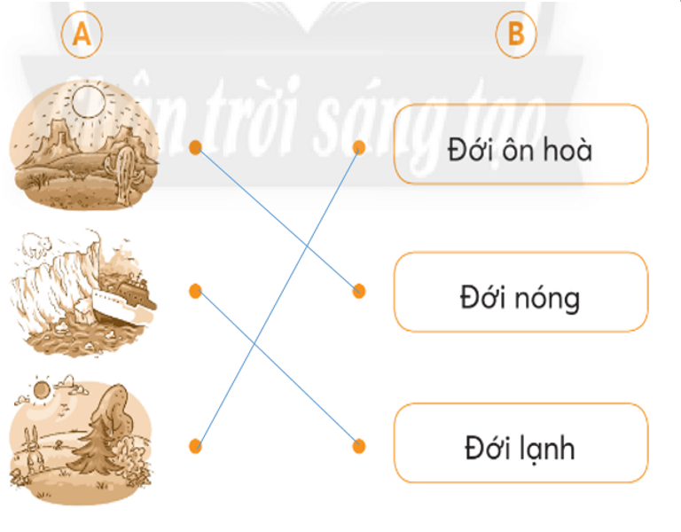 Vở bài tập Tự nhiên xã hội lớp 3 trang 79, 80 Bài 29: Bề mặt Trái Đất | Chân trời sáng tạo