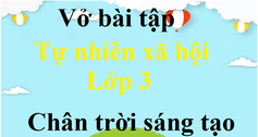 Vở bài tập Tự nhiên xã hội lớp 3 Chân trời sáng tạo | Giải vở bài tập Tự nhiên xã hội lớp 3 | Giải VBT Tự nhiên xã hội lớp 3 | VBT TNXH lớp 3 | Bài tập Tự nhiên và xã hội lớp 3 CTST