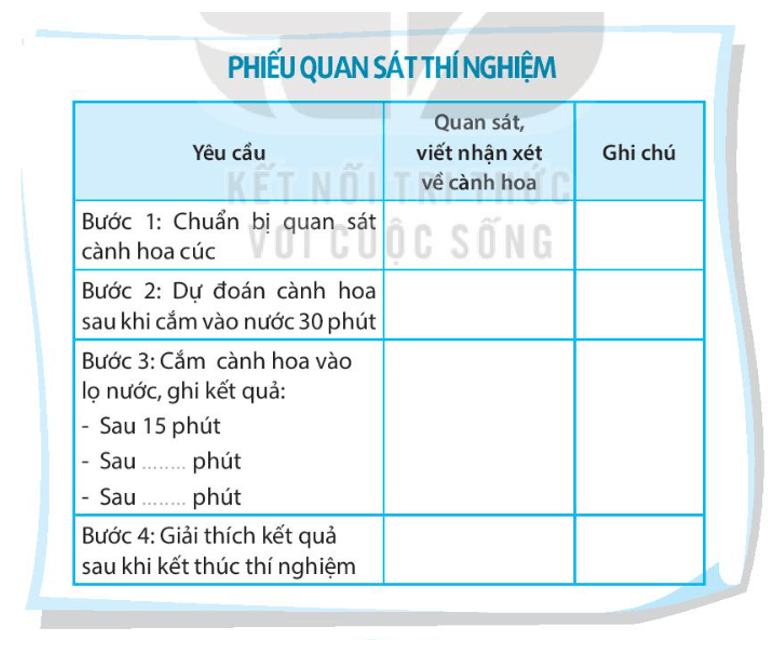 Vở bài tập Tự nhiên xã hội lớp 3 trang 39, 40 Bài 14: Chức năng một số bộ phận của thực vật | Kết nối tri thức (ảnh 1)