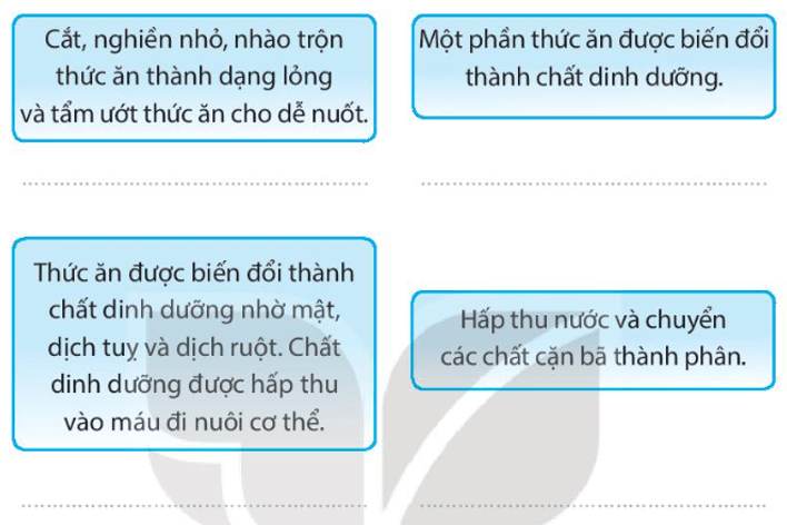 Vở bài tập Tự nhiên xã hội lớp 3 trang 48, 49 Bài 18: Cơ quan tiêu hoá | Kết nối tri thức (ảnh 3)