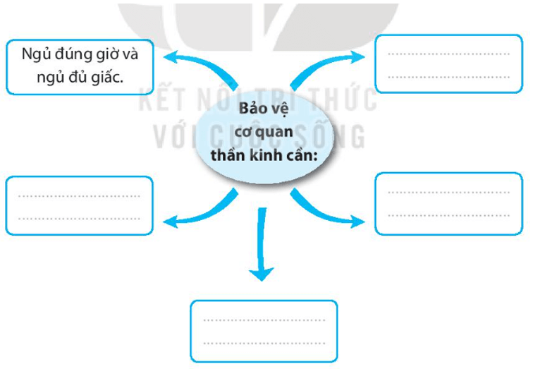 Vở bài tập Tự nhiên xã hội lớp 3 trang 59, 60, 61 Bài 23: Chăm sóc và bảo vệ cơ quan thần kinh | Kết nối tri thức (ảnh 3)