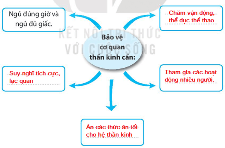 Vở bài tập Tự nhiên xã hội lớp 3 trang 59, 60, 61 Bài 23: Chăm sóc và bảo vệ cơ quan thần kinh | Kết nối tri thức (ảnh 4)