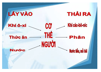 Giải vở bài tập Khoa Học lớp 4 | Vở bài tập Khoa Học 4