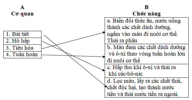 Giải vở bài tập Khoa Học lớp 4 | Vở bài tập Khoa Học 4