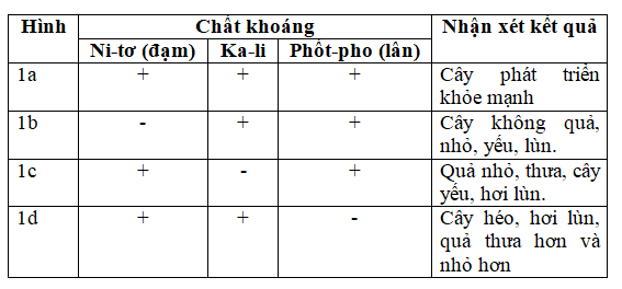 Giải vở bài tập Khoa Học lớp 4 | Vở bài tập Khoa Học 4