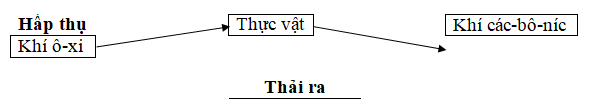 Giải vở bài tập Khoa Học lớp 4 | Vở bài tập Khoa Học 4