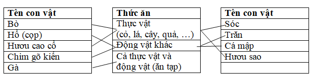 Giải vở bài tập Khoa Học lớp 4 | Vở bài tập Khoa Học 4