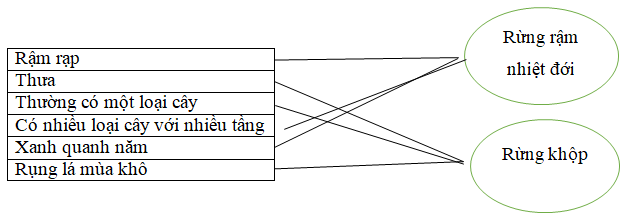 Giải vở bài tập Địa Lí lớp 4 | Vở bài tập Địa Lí 4