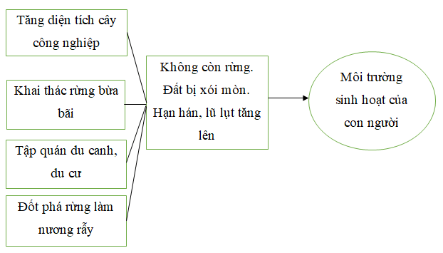 Giải vở bài tập Địa Lí lớp 4 | Vở bài tập Địa Lí 4