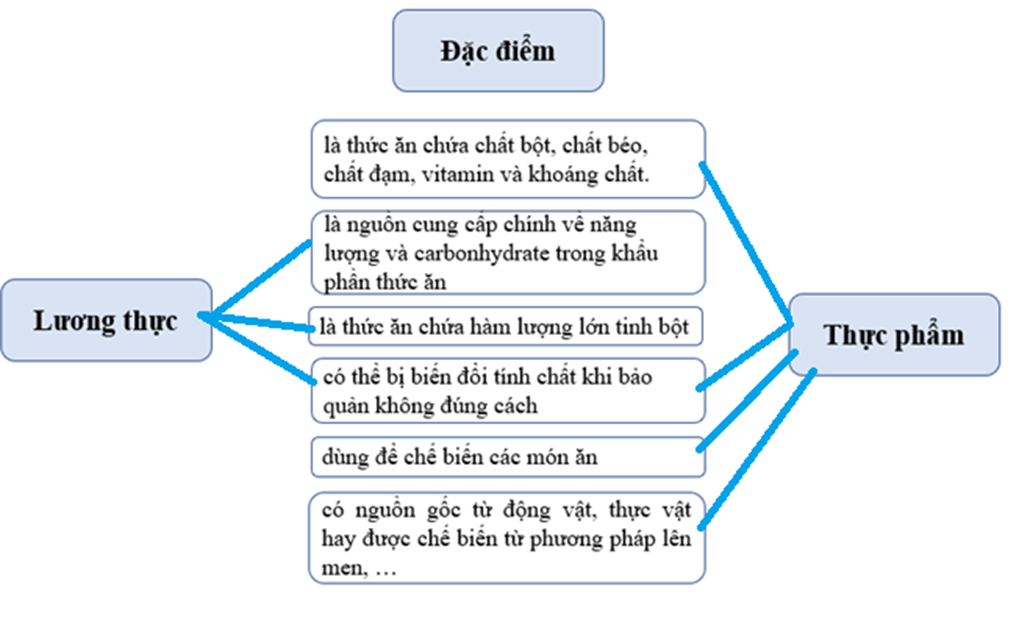 Em hãy nối những đặc điểm sau đây cho phù hợp với từng nhóm lương thực, thực phẩm