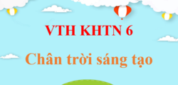 Vở thực hành Khoa học tự nhiên 6 Chân trời sáng tạo | Giải VTH KHTN 6 (hay, ngắn gọn)