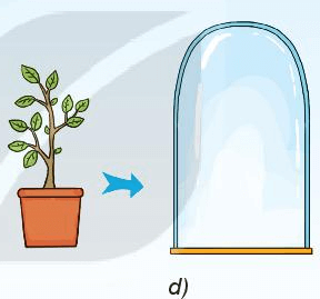 Em hãy sắp xếp các hiện tượng ở cột bên trái hình dưới đây